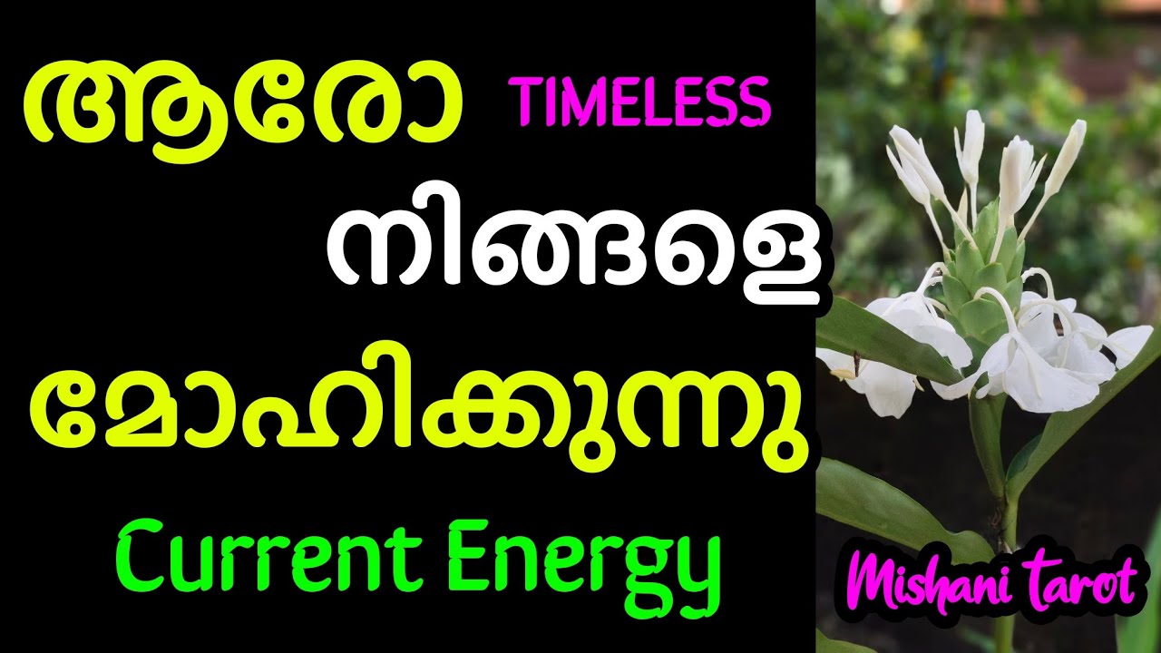 😘 പുതിയൊരാൾ ആണോ അത് 🤔