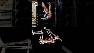 The dynamic tuck front lever! #MuscleandMotion #DynamicTuckFrontLever