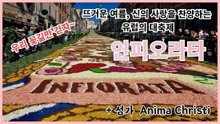 꽃길만 걷자~ 인피오라타  축제, 그리고..성가 Anima Christi