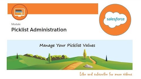 Manage Your Picklist Values