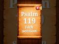 詩篇 119篇 | 第14節 | 音声視聴と朗読 | 聖書の一節