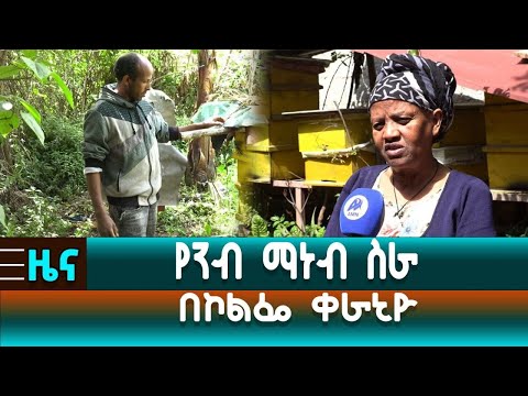 ቪዲዮ: የግብይት ማዕከላት በራያዛን፡ አካባቢ፣ የመክፈቻ ሰዓቶች፣ እዚያ ምን ማግኘት ይችላሉ።