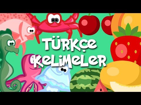 Kids & Fun Türkçe Kelimeler - Bölüm 3