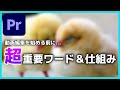 【初心者】動画編集者の卵が知っておくべき超重要ワードと仕組み解説