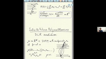 Y. Bakhtin / E. Bates – Dynamic polymers: invariant measures and ordering by noise.