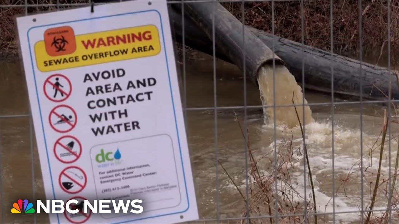 Trump says federal government will protect Potomac River amid sewage spill