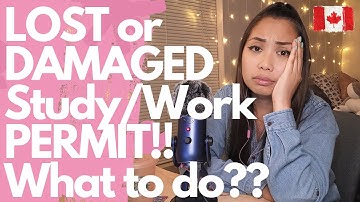 Replacement of an Immigration Document | Lost/Stolen/Damaged Work or Study Permit