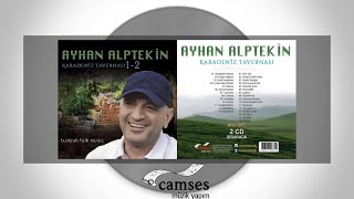 Ayhan Alptekin - Oy Dağlarım Resimi