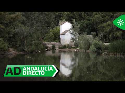 Andalucía Directo | The Mills Route in Alcalá de Guadaíra, history and nature
