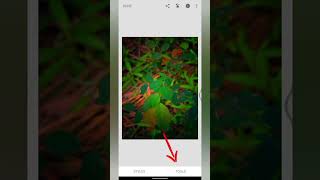 Moody Dark Green Leaf Editing 🔥 | Snapseed Tutorial | Snapseed Photo Editing screenshot 4
