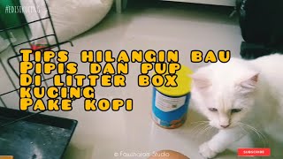 USIR BAU LITTER BOX KUCING PAKE KOPI BEGINI CARANYA BIAR AROMA PIP PUP HILANG | EdisiKucing 068