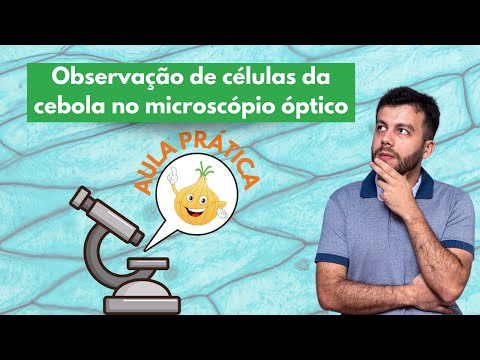 Vídeo: Um microscópio de dissecação é um microscópio de luz?