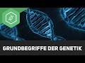 Grundbegriffe der genetik