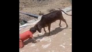 iadaw masi funny