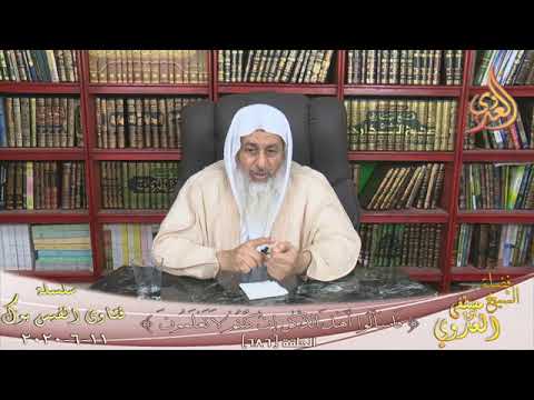 ما الاعمال التي يصل ثوابها للميت للشيخ مصطفى العدوي