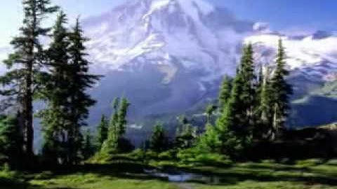 تلاوه من سورة النور -الشيخ فيصل الرشود.flv