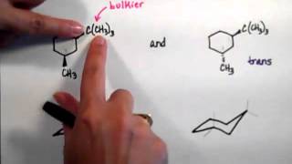 Problem 5  cis and trans 1 tertbutyl 3 methylcyclohex mp4
