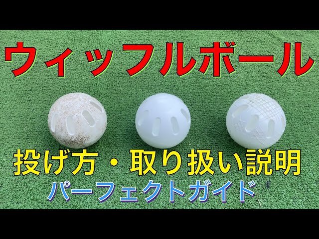 【ウィッフルボール】投げ方&取り扱い説明パーフェクトガイド