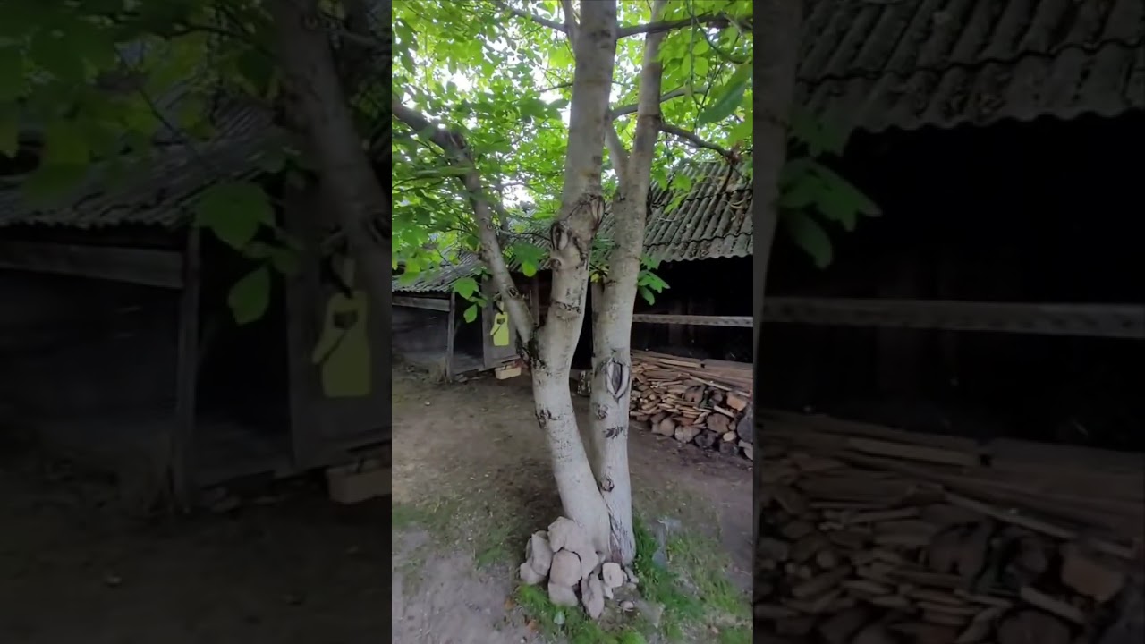 Продажа, жилой дом Беларусь, Могилев-ий р-н, д. Калиновая, 5 минут на авто от Могилёва,+375296996654