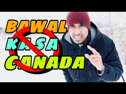 Video: Saan Lilipat sa Canada para sa isang Amerikano