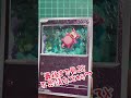 このポケカ、ちょっと変なんです。#shadowbox #ポケカ #ポケモンカード #ポケモン #pokemontcg #pokemon #イマーシブ