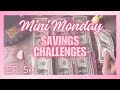 Mini Mondays 54 | Savings Challenges | Saving With $40