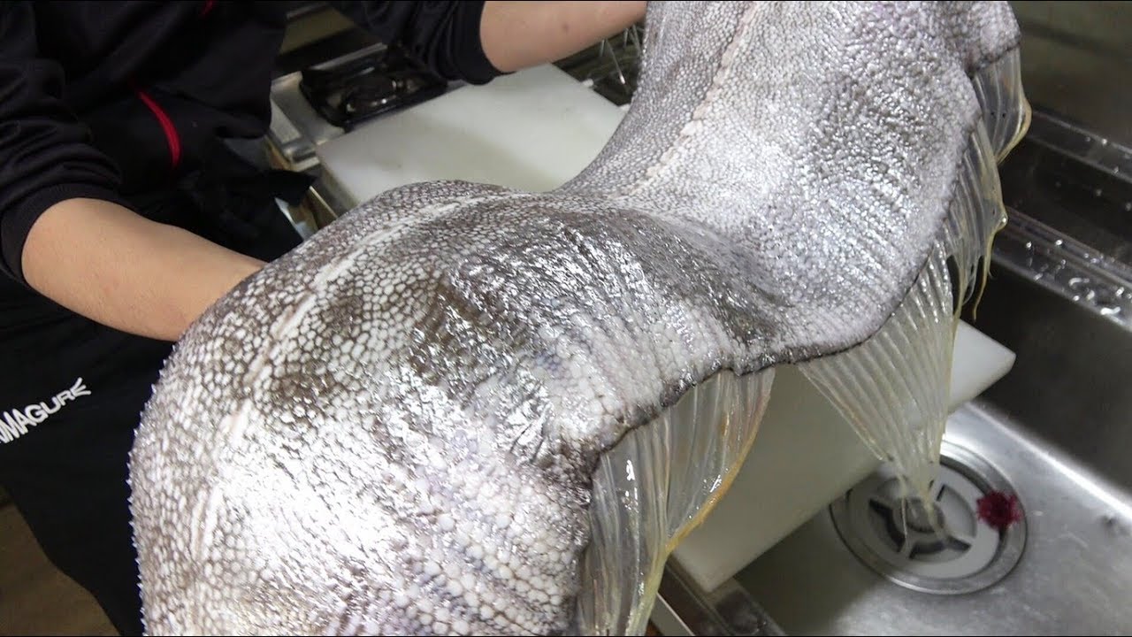 きまぐれクック】【お宝映像】指15本クラスの