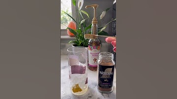 🎉 Your New Favorite Holiday Appliance – GEVI Nugget Ice Maker V2.0! ❄️