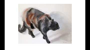 Cat in movement - wet on wet watercolor tutorial on SKILLSHARE
