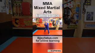 MMA - Mixed Martial Arts. Fighting Stance. #shorts