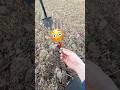 Хорошая находка! #золото #metaldetecting #shortvideo #коп #поиск #metaldetector #клад #монеты #coin