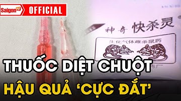 Thuốc diệt chuột TRÀN LAN trên thị trường, giá siêu rẻ nhưng hậu quả 