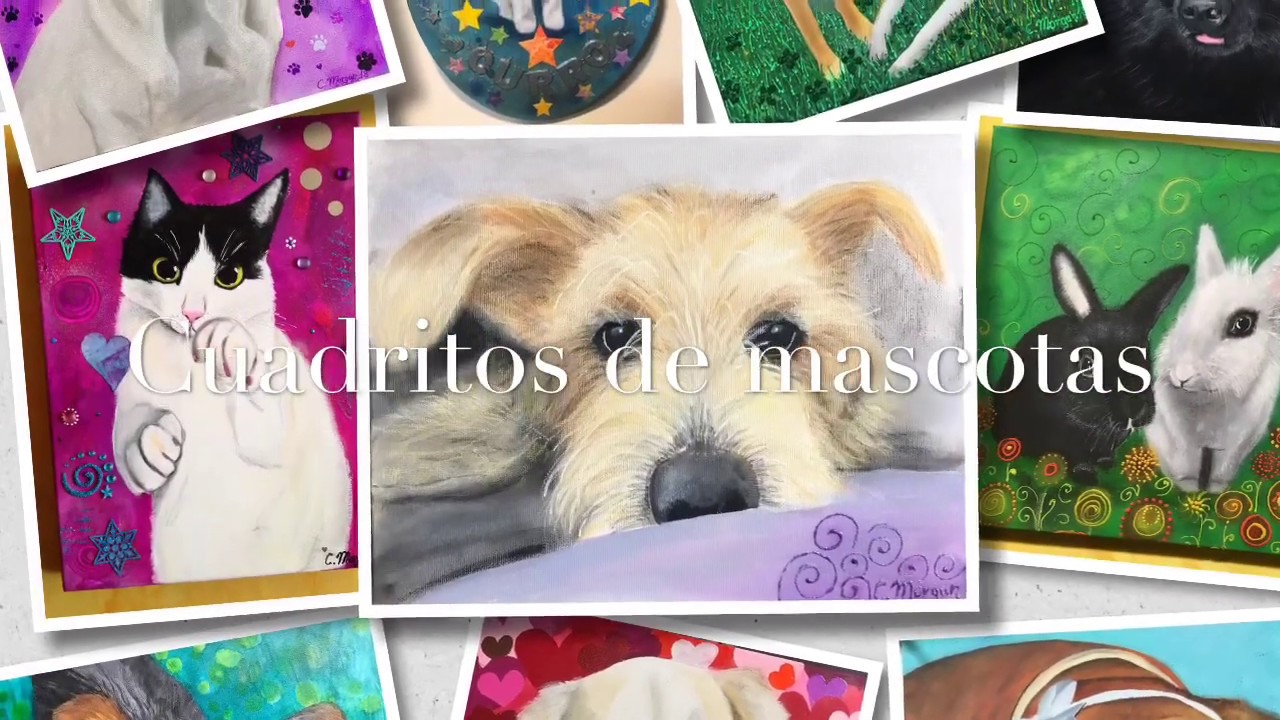 Cuadritos de mascotas de Cuadritos de Colores cuadros personalizados con frases