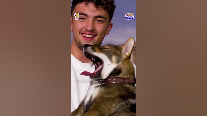 Beaucoup trop mignoooon 🐶 @Michou @inoxtag  #shorts #chien