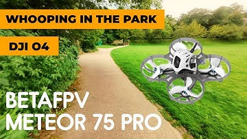 Windy FPV Session at the Park | BetaFPV Meteor75 Pro O4