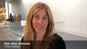 Claressa Shields premieres T-Rex documentary in Flint