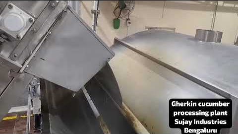 Gherkin Cucumber Washing Blanching Machinery