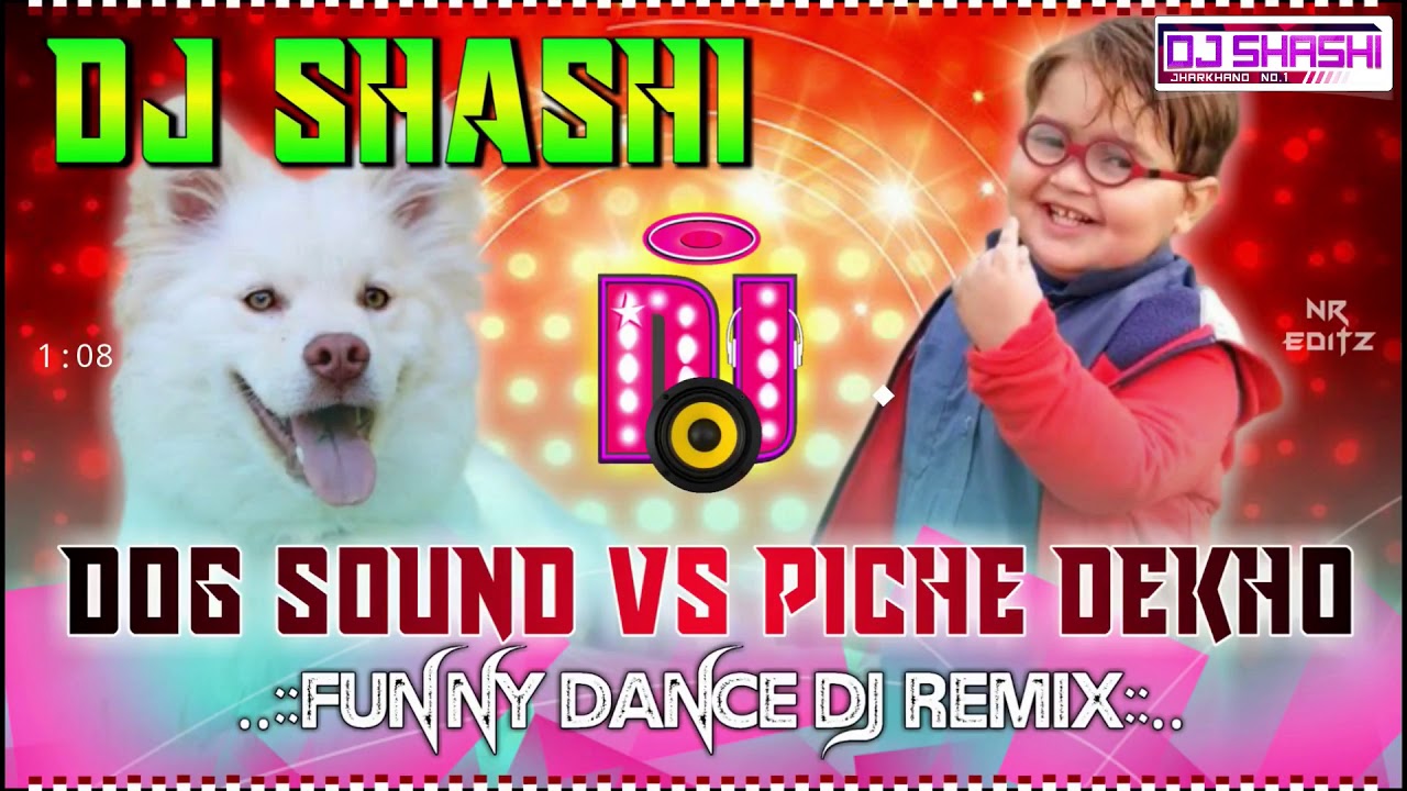 Piche Dekho Vs Crezzy Dog Sound Remix Dj Shashi Download