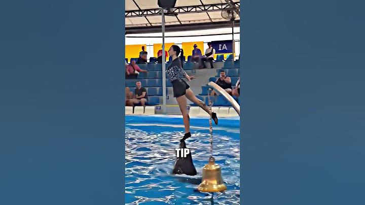 This girl and her dolphin tricked the audience ❤️ #shorts
