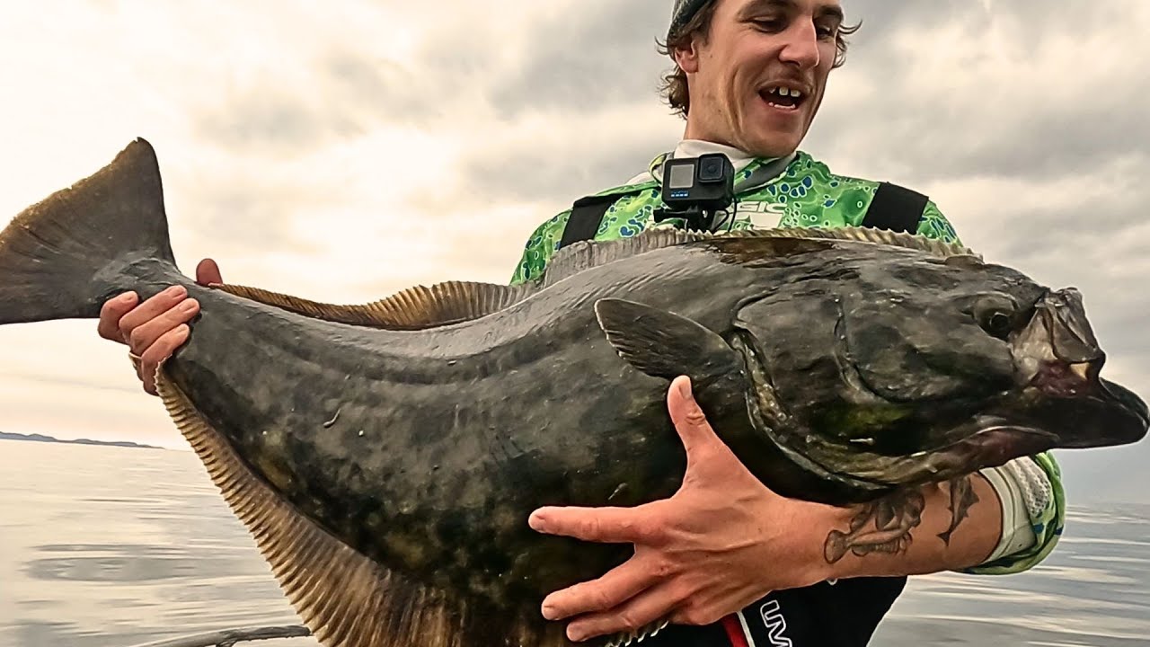 Heilbutt, Dick-Dorsch, Groß-Leng - 40 FISCHE AN EINEM TAG!!!! (Norwegen Part 1)