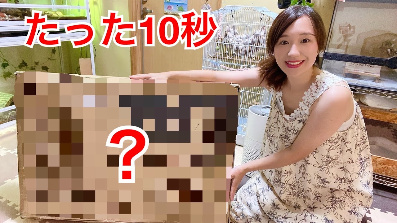 コスパ最強！たった10秒でできる『10秒ケージ』が届きました…！ - YouTube