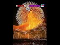 Worlds Best Fireworks✨ | #edit #fireworks #fyp #viral #usa