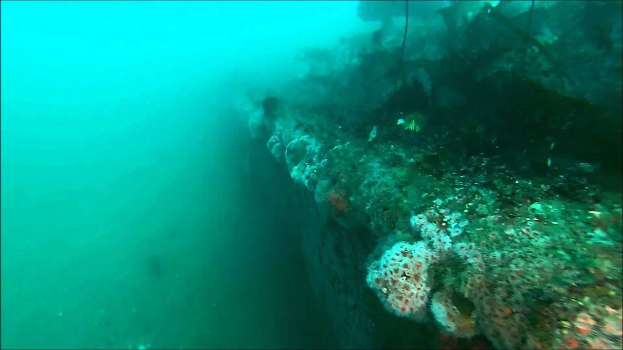WRECK DIVE - YouTube