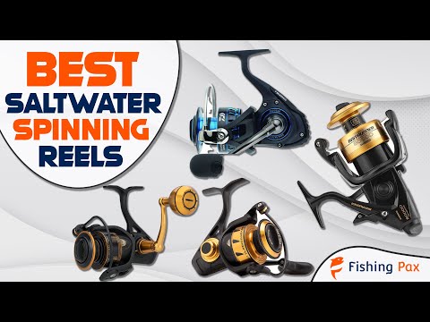 7 Best Saltwater Spinning Reels 