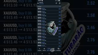 FOREX SIGNALS FX #trader #tradeiniciante #daytrade #ganharemdolar #trade