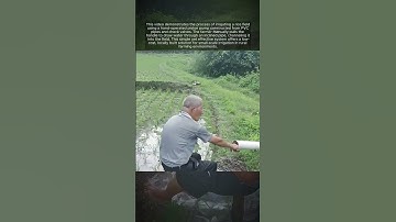 Manual Piston Pump Irrigation Process for Rice Fields #shorts