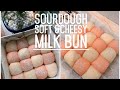 Easy Single Proof Sourdough Soft &amp; Cheesy Milk Bun  天然酵种 奶酪面包 超软 How To Make Milk Bread