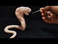 Clay Sculpting : How to make Clay Snake King Cobra | clay ka snake | clay modelling | Polymer Clay