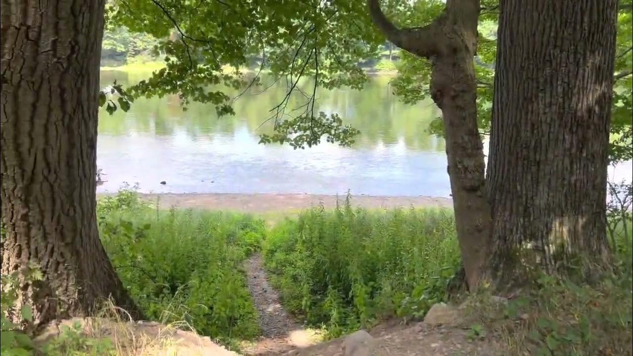 Full walkthrough of the Worthington State Forest Campground & peek at