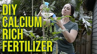 DIY Water Soluble Calcium Fertilizer Using Eggshells and Vinegar by Forever Food Forest 165,924 views 1 year ago 6 minutes, 39 seconds